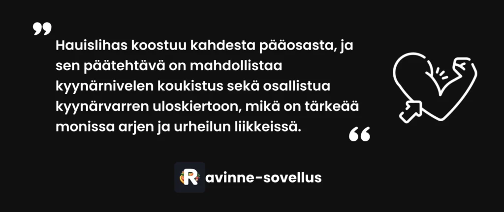 Hauislihas koostuu kahdesta pääosasta, ja sen päätehtävä on mahdollistaa kyynärnivelen koukistus sekä osallistua kyynärvarren uloskiertoon, mikä on tärkeää monissa arjen ja urheilun liikkeissä.