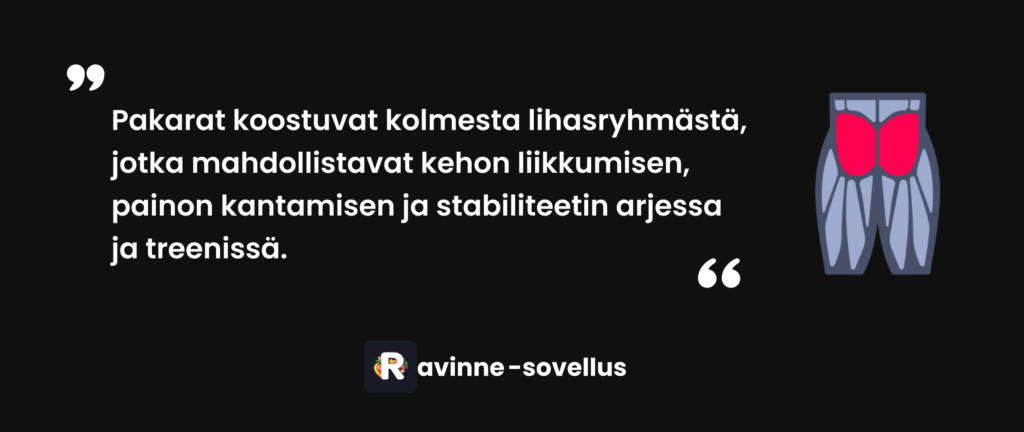 Pakarat koostuvat kolmesta lihasryhmästä, jotka mahdollistavat kehon liikkumisen, painon kantamisen ja stabiliteetin arjessa ja treenissä.